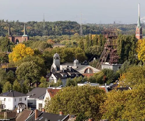 Haushaltsauflösung Gelsenkirchen-Buer